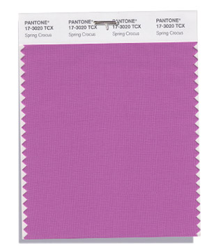 PANTONE 17-3020 Spring Crocus