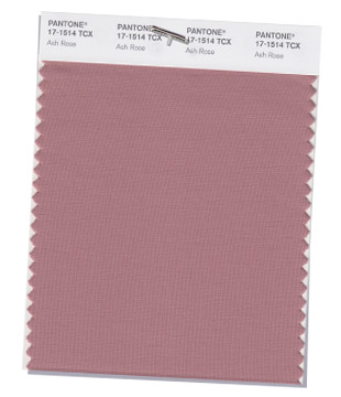 PANTONE 17-1514 Ash Rose