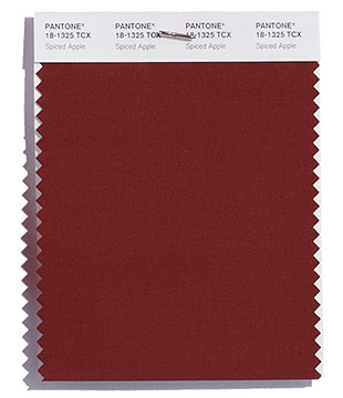 PANTONE 18-1325 Spiced Apple