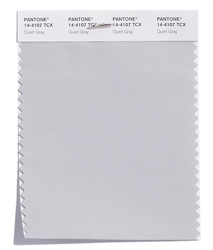 PANTONE 14-4107 Quiet Gray