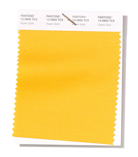 PANTONE 13-0850 Aspen Gold