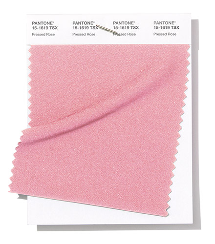 PANTONE 15-1619 Pressed Rose