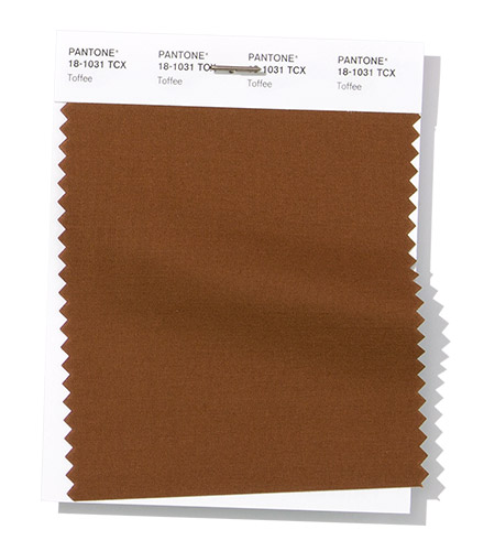 PANTONE 18-1031 Toffee