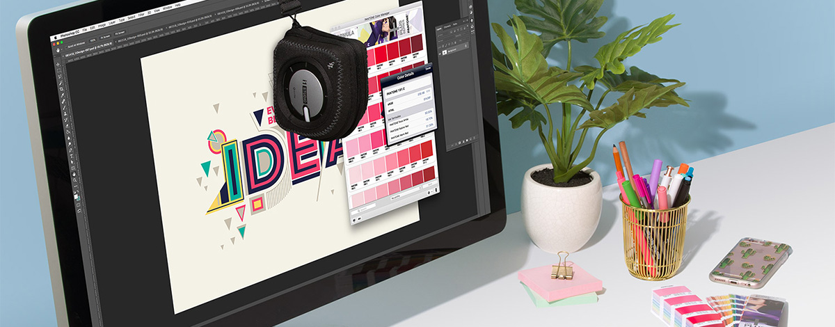 Pantone B2B Licensing
