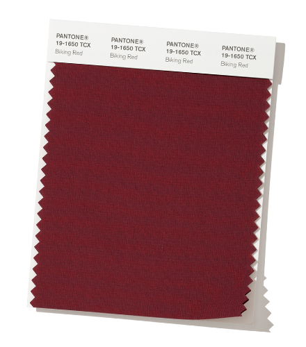 PANTONE 19-1650 Biking Red