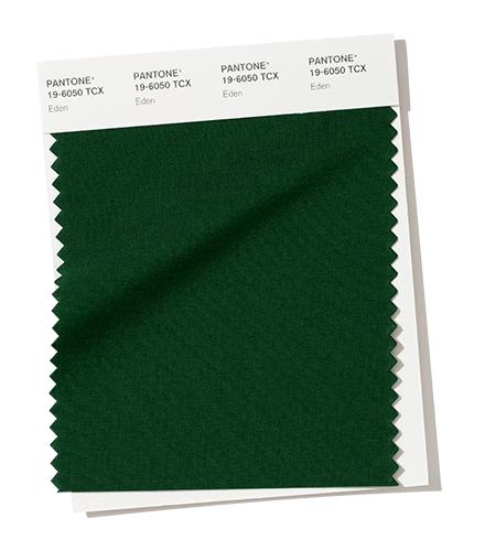 PANTONE 19-6050 Eden