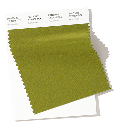 PANTONE 17-0530 Guacamole
