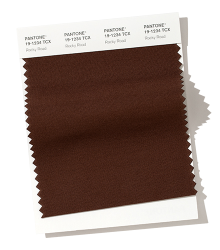 PANTONE 19-1234 Rocky Road