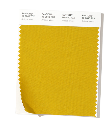 PANTONE 16-0840 Antique Moss