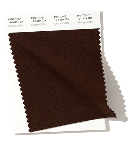 PANTONE 19-1419 Chicory Coffee