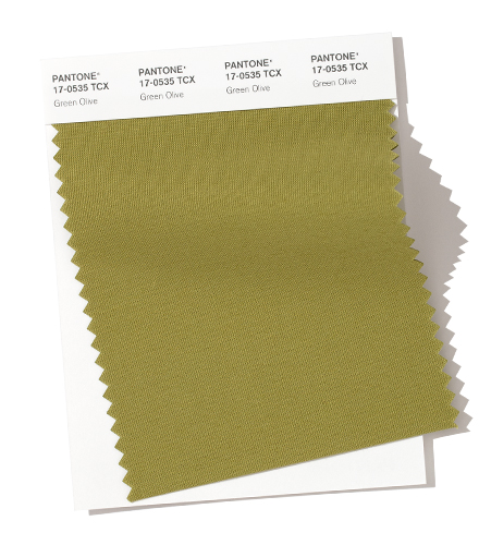PANTONE 17-0535 Green Olive