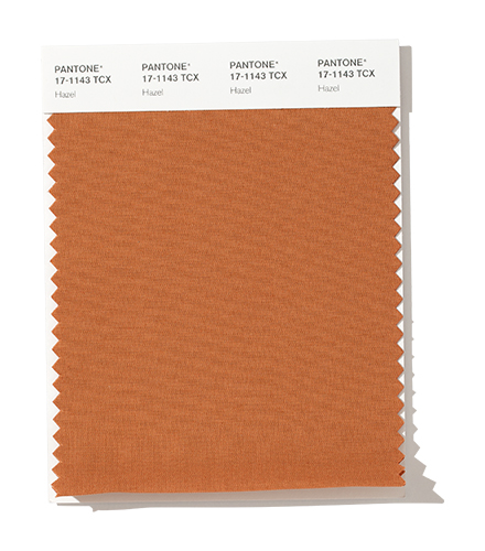 PANTONE 17-1143 Hazel