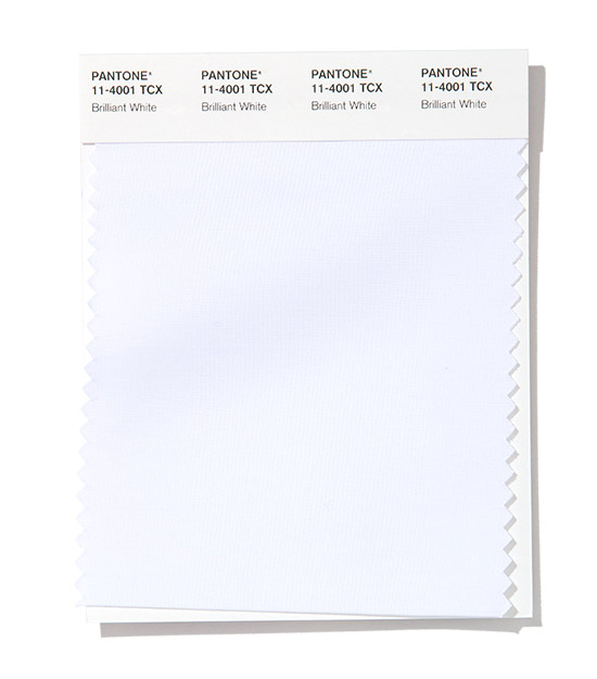 PANTONE 11-4001 Brilliant White
