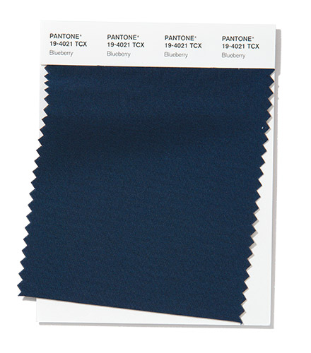 PANTONE 19-4021 Blueberry