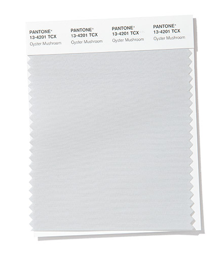 PANTONE 13-4201 Oyster Mushroom