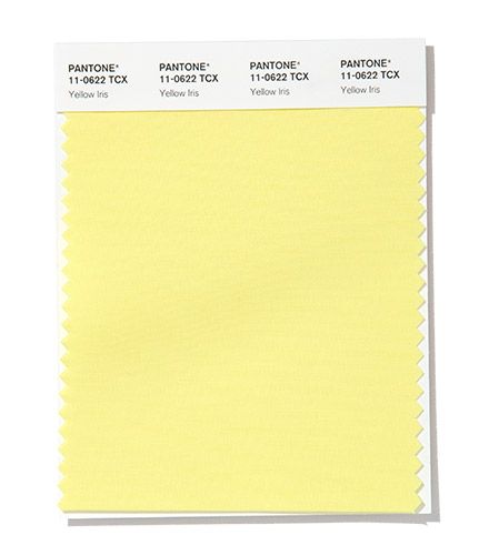 PANTONE 11-0622 Yellow Iris