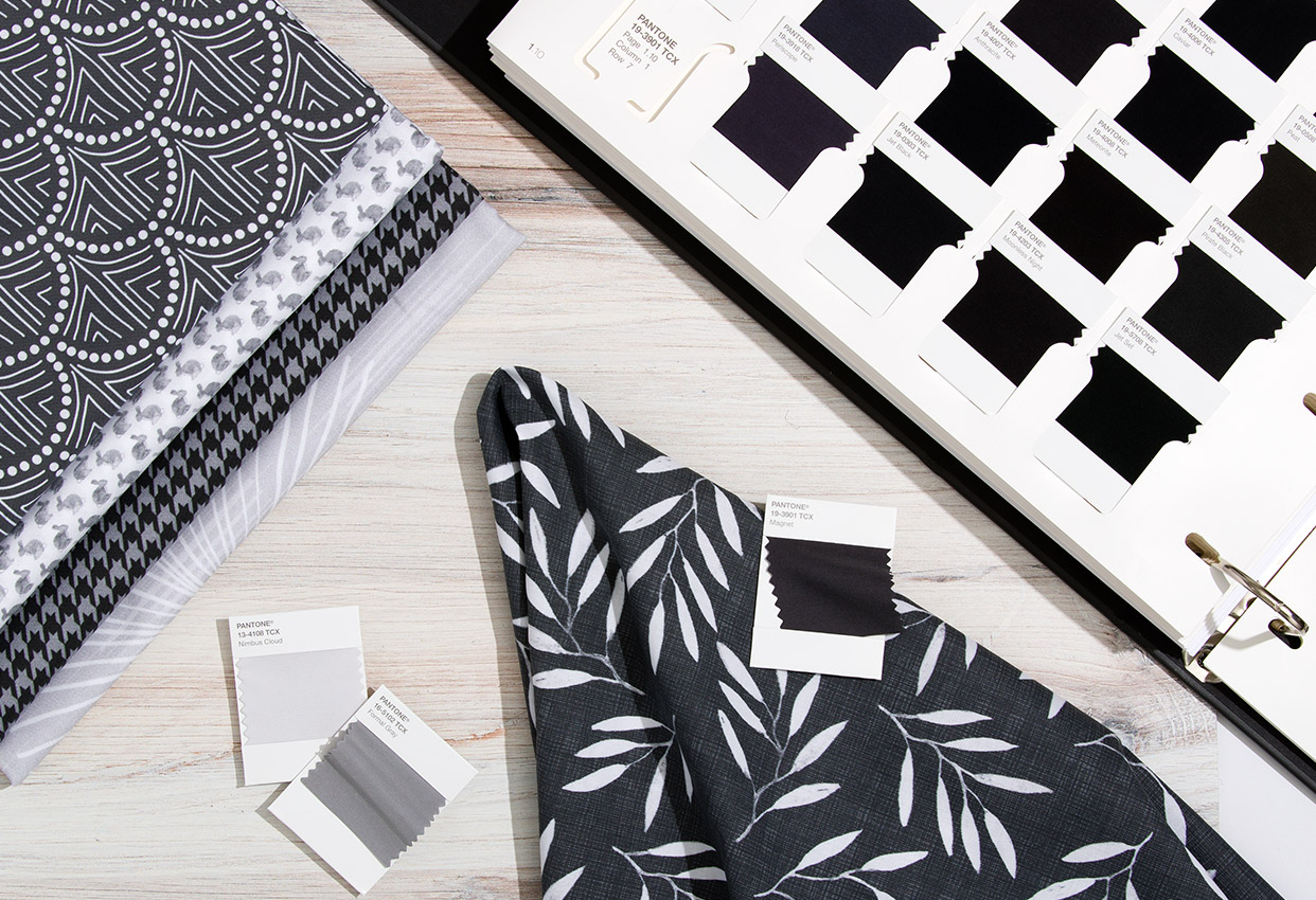 Where Color Meets Simplicity
