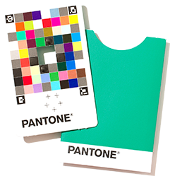 Pantone Color Match Card