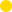 Pantone Plan Icon