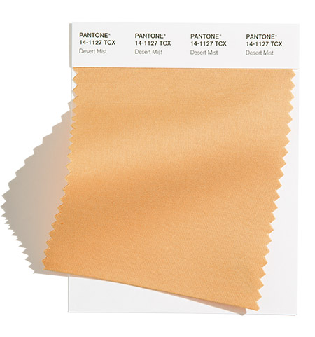 PANTONE 14-1127 Desert Mist