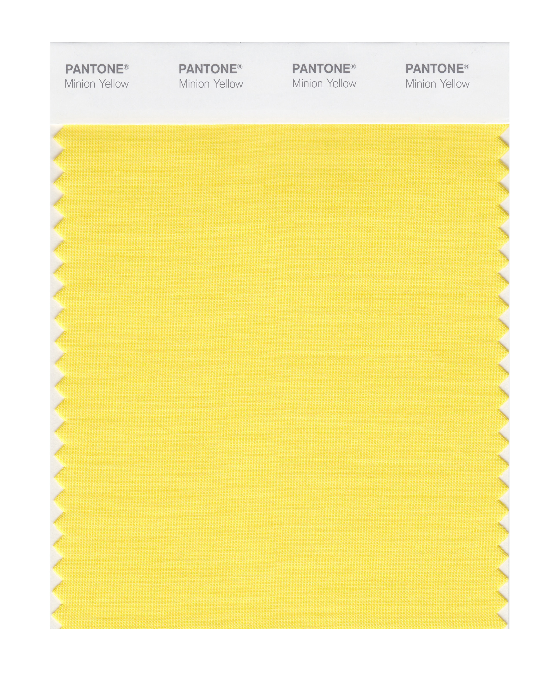 PANTONE - Minion Yellow Swatch - Minions