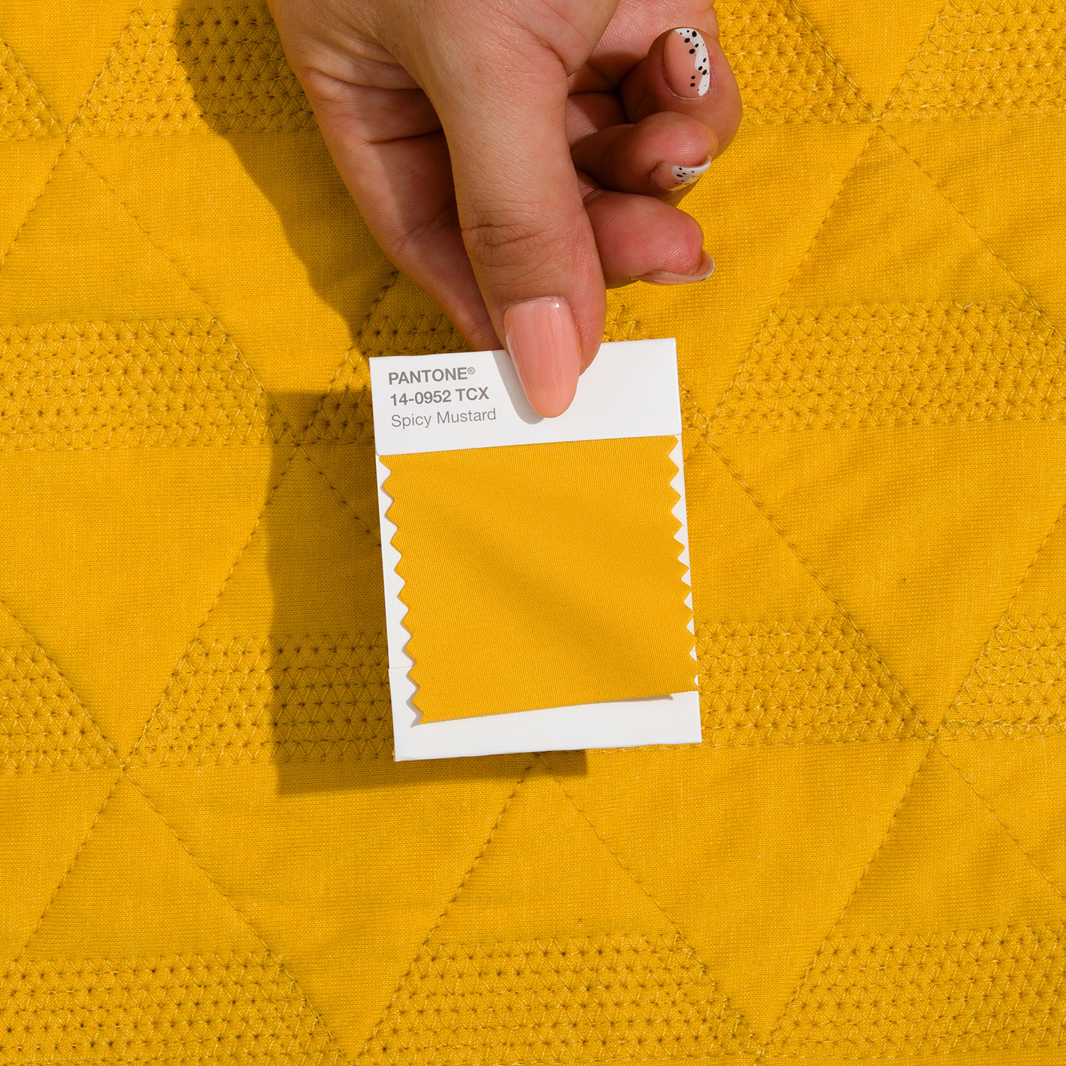 Pantone Fashion, Home + Interiors Cotton Swatch Library The ultimate swatch collection for designing in cotton - View 6