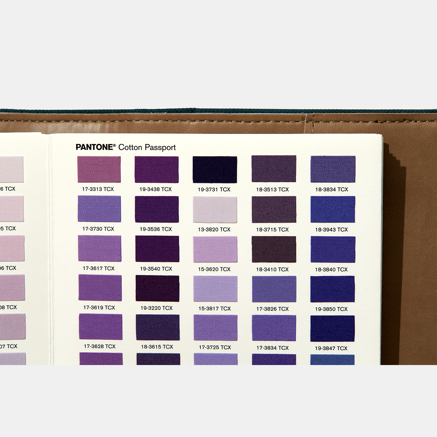 Pantone FHI Cotton Passport 2019 edition Take your creativity to new places with Pantone Colors on cotton, to go - View 2