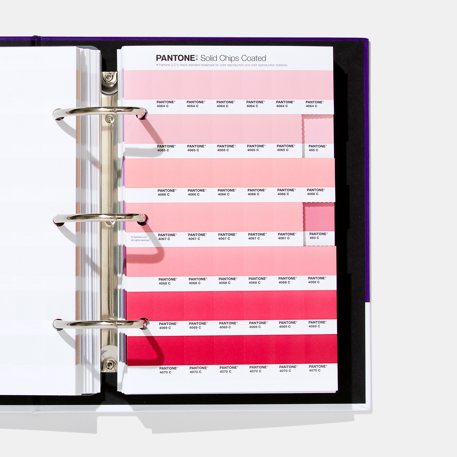 Pantone Solid Chips | Coated & Uncoated Shareable, versatile color for graphics and print - View 2