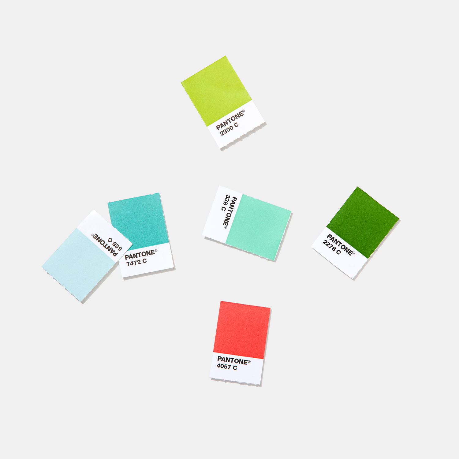 Pantone Solid Chips | Coated & Uncoated Shareable, versatile color for graphics and print - View 4