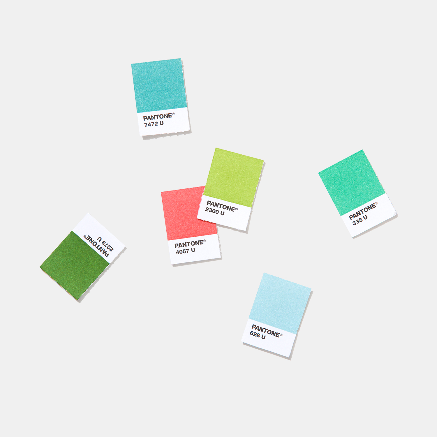 Pantone Solid Chips | Coated & Uncoated Shareable, versatile color for graphics and print - View 5