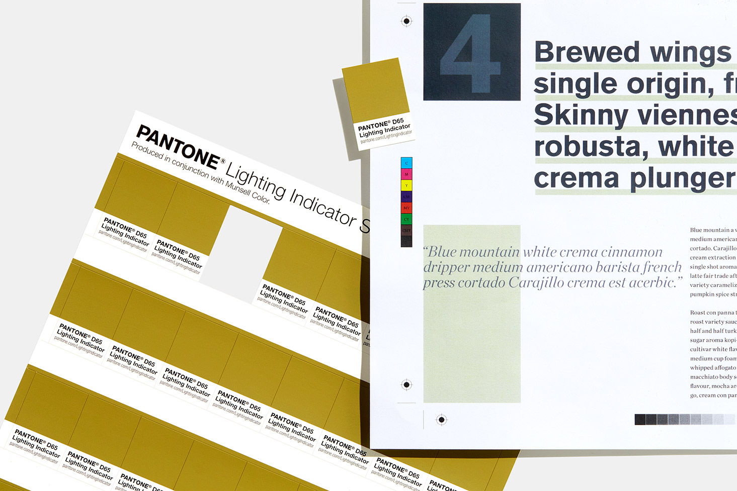 Pantone Lighting Indicator Stickers D65 - View 1