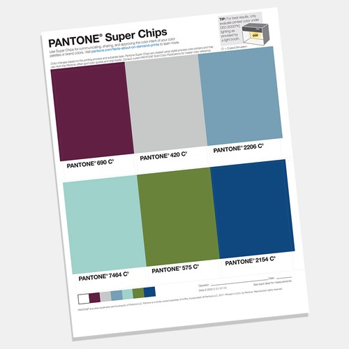Pantone Super Chips 