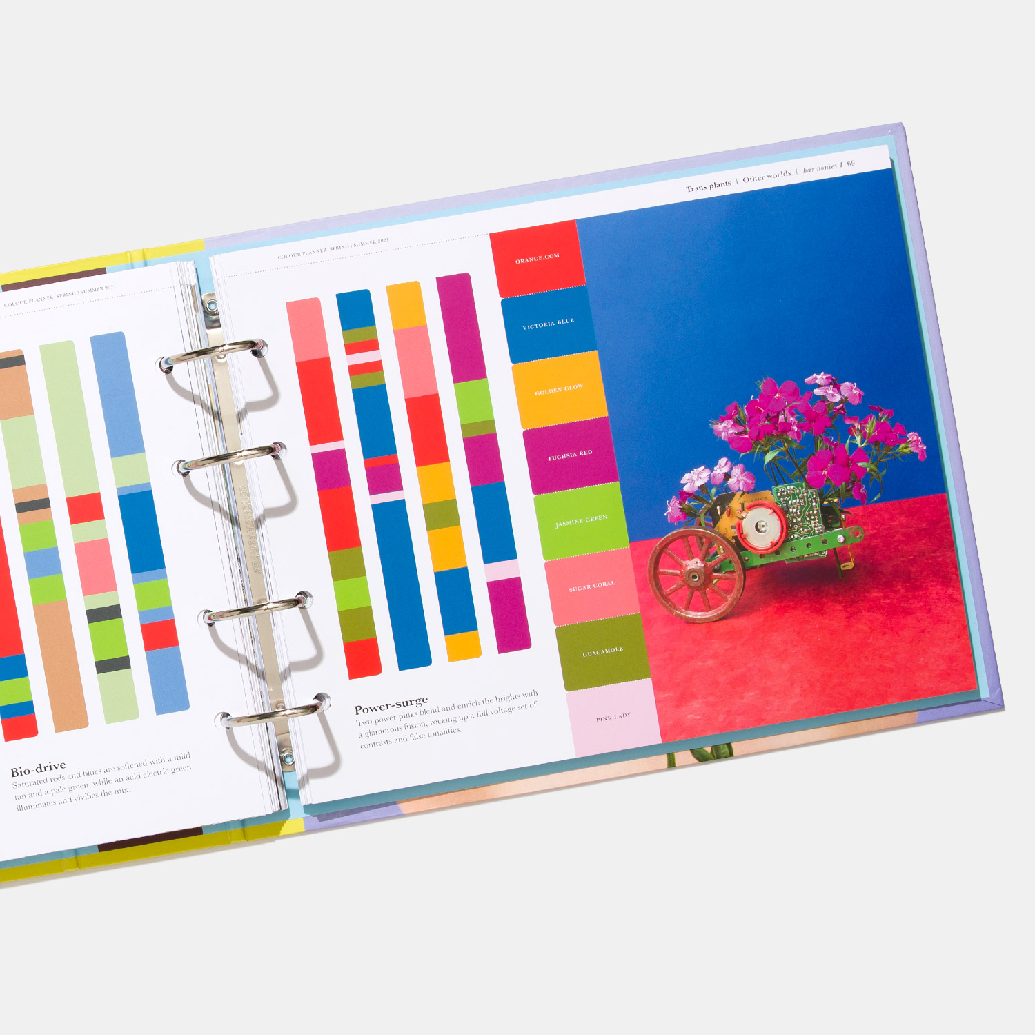 Pantone PANTONEVIEW Colour Planner Spring/Summer 2021 Botanica: A beautiful world full of inspiration - View 3