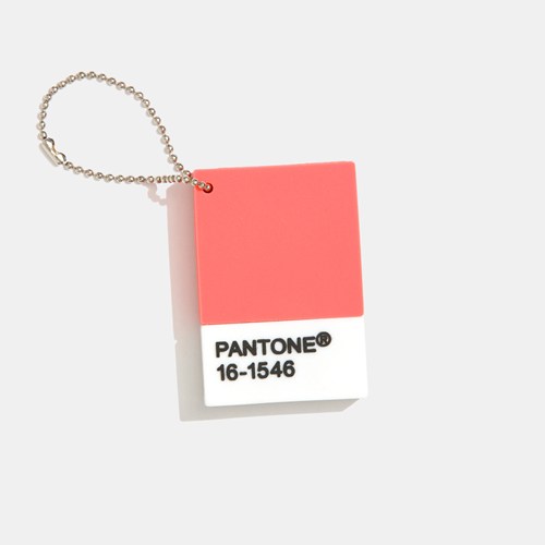 Pantone Chip Drive USB Flash Drive 4GB