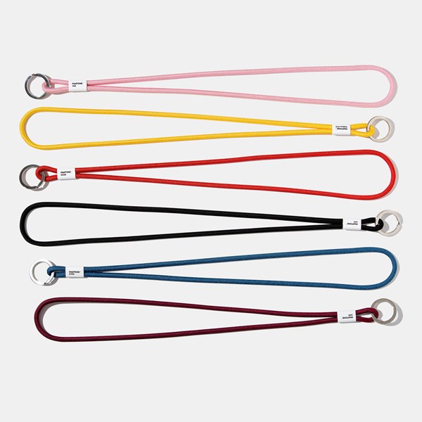 Pantone Long Key Chain