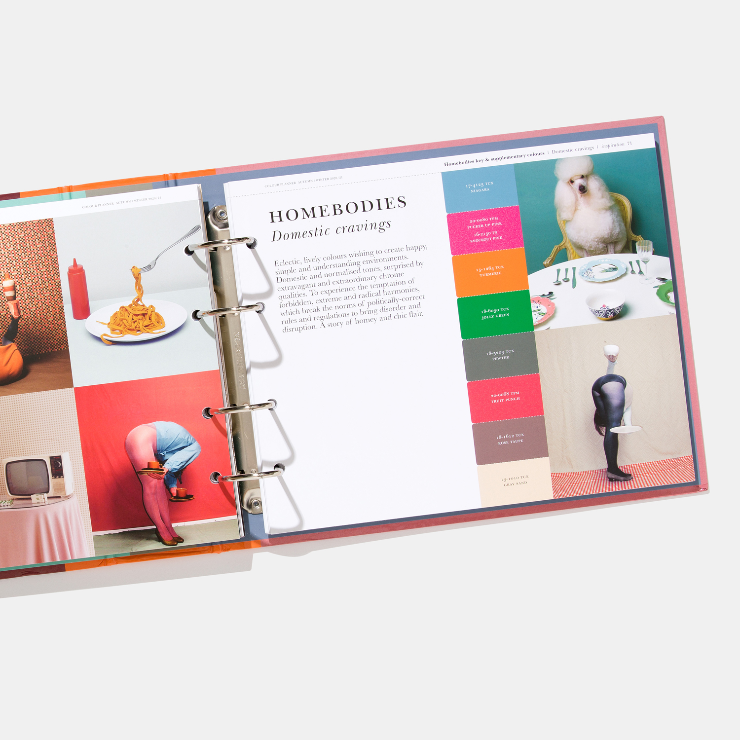 Pantone PANTONEVIEW Colour Planner Autumn/Winter 2020/2021 Nest - View 2