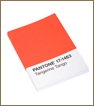 PANTONE Tangerine Tango Journal