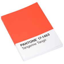 Pantone Tangerine Tango Journal  - View 1