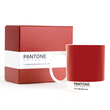 PANTONEMug with Gift Box Color of the Year 2015 Marsala
